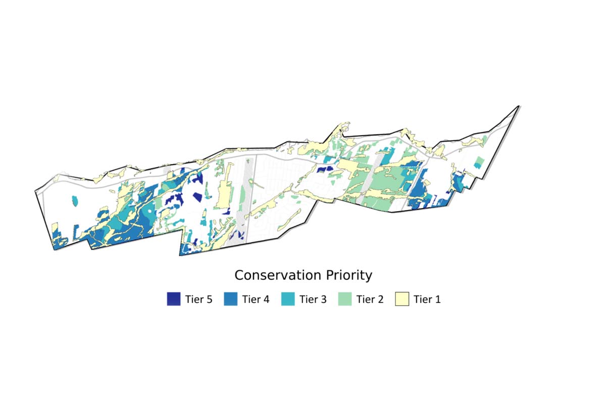 Hudson's Development Freeze